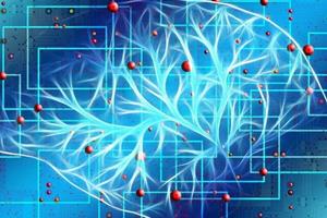 کشف شکل جدیدی از ارتباط نورون‌ها در مغز
