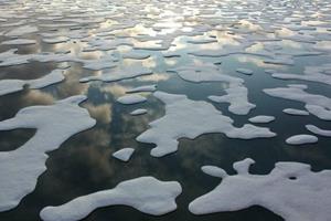 تغییرات اقلیمی شمالگان، پیامدهای جهانی دارند