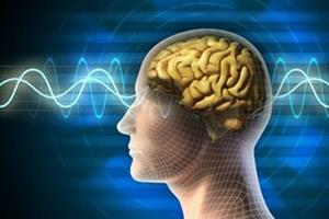 پیش‌بینی بازیابی مهارت‌های زبانی پس از آسیب مغزی با کمک مدل‌سازی رایانه‌ای
