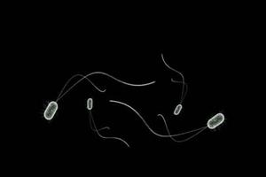  چگونه یون‌های نقره باکتری‌ها را از بین می‌برند؟