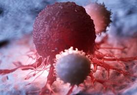  روش جدیدی برای درمان سرطان با کمک سلول‌های تی