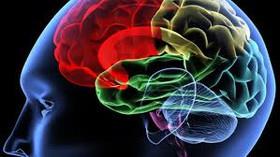 ارائه روشی جدید برای تصویربرداری و کاوش نانومقیاس مغز