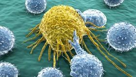 استفاده از نانوبلورها برای تشخیص سلول سرطانی 