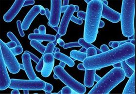 درک شخصیت باکتری‌ها 