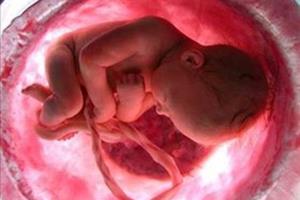 دستاورد جنجال‌برانگیز دانشمندان در اصلاح ژنتیکی جنین انسان 