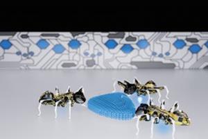 رونمایی از رباتهای مورچه‌ و پروانه‌ در نمایشگاه آلمان 