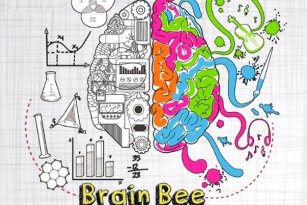 فردا دور نهایی مسابقه ملی دانش مغز برگزار می‌شود