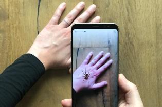 درمان "عنکبوت‌هراسی" با کمک یک اپلیکیشن تلفن همراه!