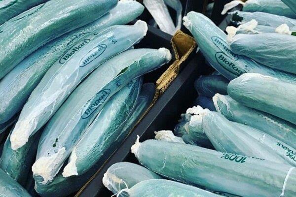 تولید پلاستیک سازگار با محیط زیست برای بسته بندی خیار