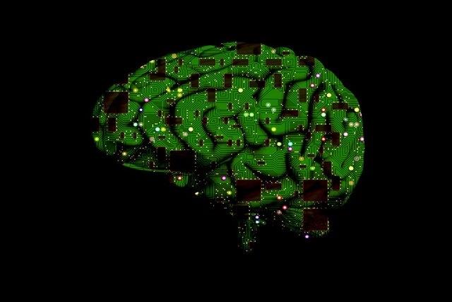 بررسی نواحی خاص مغز با کمک هوش مصنوعی