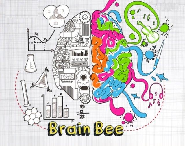 فردا دور نهایی مسابقه ملی دانش مغز برگزار می‌شود