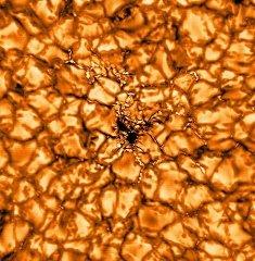 انتشار تصاویر جدیدی از ساختار میدان مغناطیسی خورشید