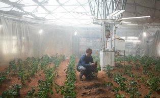 ساخت باغچه‌های مریخی با خاک هاوایی