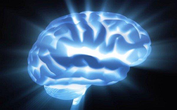 کشف واکنش آینه ای شکل در مغز نوازندگان موسیقی