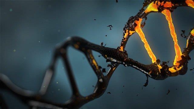پیش‌بینی قد و بیماری‌های جدی با ابزار جدید "DNA"