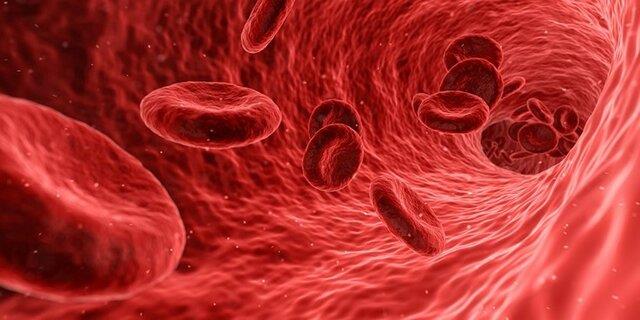 سلول‌های خونی، در روند پیری موثر هستند