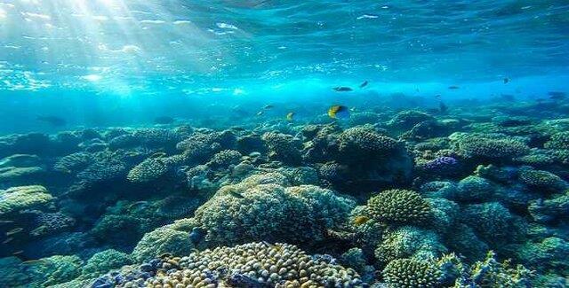 حیات برای اولین بار در اقیانوس‌ها شکل نگرفته است