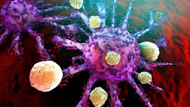 نقش میکروبیوم سالم در مبارزه با سرطان