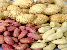 تحقیقات نشان داد:‌ افزایش طول عمر با خوردن بادام زمینی 