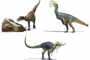 کشف محققان درباره غذای مورد علاقه دایناسورها