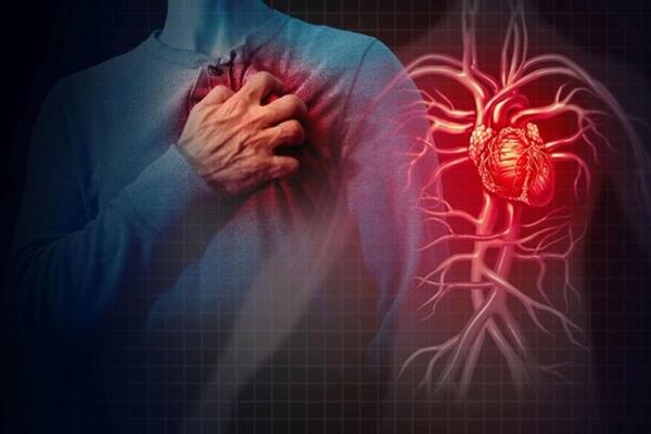  پیش‌بینی خطر مرگ بیماران مبتلا به بیماری قلبی با روشی جدید