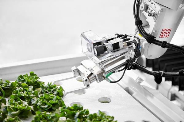  پرورش سبزیجات در مزرعه رباتیک در آمریکا