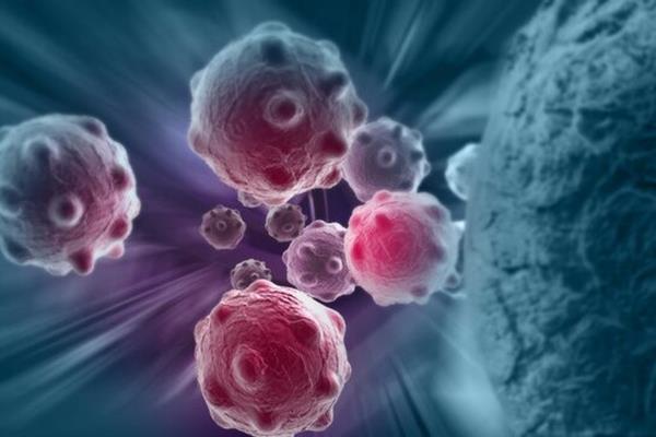 "من را نخورید"؛ پیام جدید سلول‌های سرطانی به سیستم ایمنی بدن! 