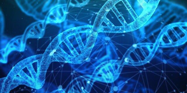 درک ارتباط میان سلول‌های انسان با کمک ژن‌های مصنوعی