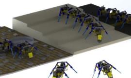 ربات‌هایی که مثل مورچه‌ها کار گروهی می‌کنند