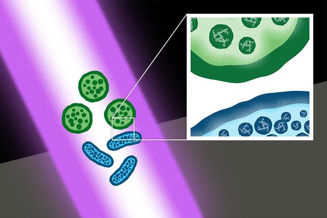 از بین بردن باکتری‌ها و ابرمیکروب‌ها با کمک یک فناوری مبتنی بر لیزر