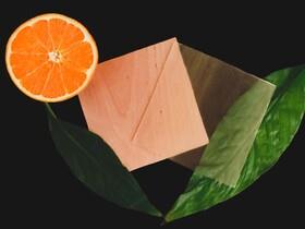 تولید چوب شفاف "سازگار با محیط زیست" با استفاده از پوست پرتقال