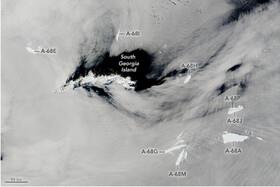  بزرگترین کوه یخی جهان متلاشی شد