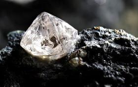  ۲ نوع الماس نادر از بقایای موجودات زنده تشکیل می‌شوند!