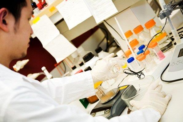  ساخت نانوسامانه انتقال دارو به سلول‌های سرطانی