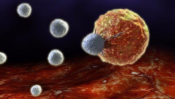  کشف پروتئین کمک‌کننده به مبارزه با سرطان