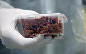 امکان شناسایی گوشت فاسد با نانوحسگر فلورسانس 