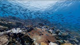 کشف نخستین نشانه‌های وجود اکسیژن در سنگ‌های کف اقیانوس 