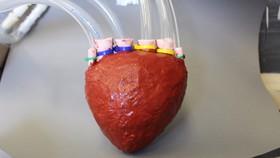 ساخت قلب مصنوعی کاربردی با استفاده از فوم 